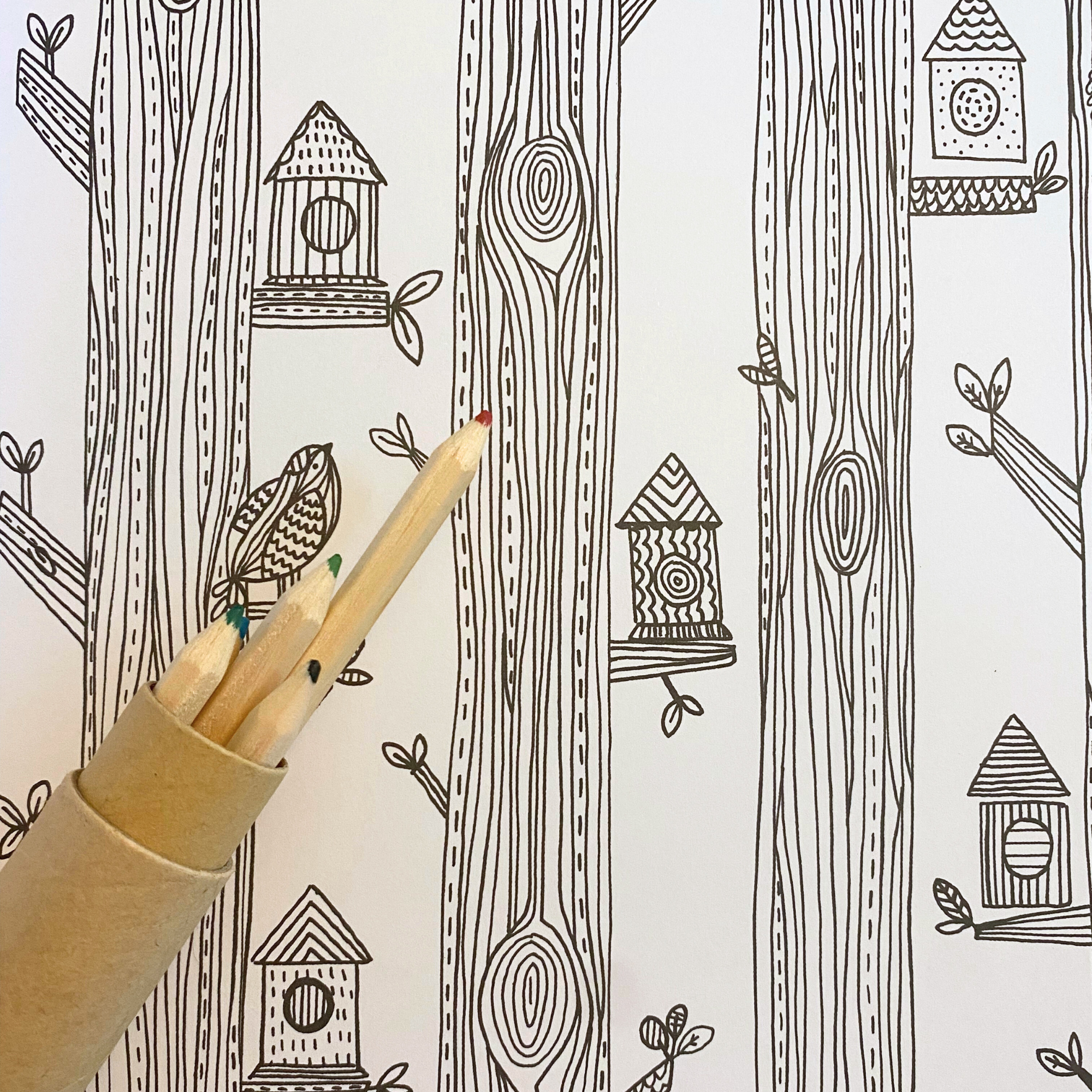 Mindfulness colouring book for all ages with images of the Swedish folk style, responsibly printed on natural paper of the highest quality, from printmaker and TV presenter Zeena Shah.