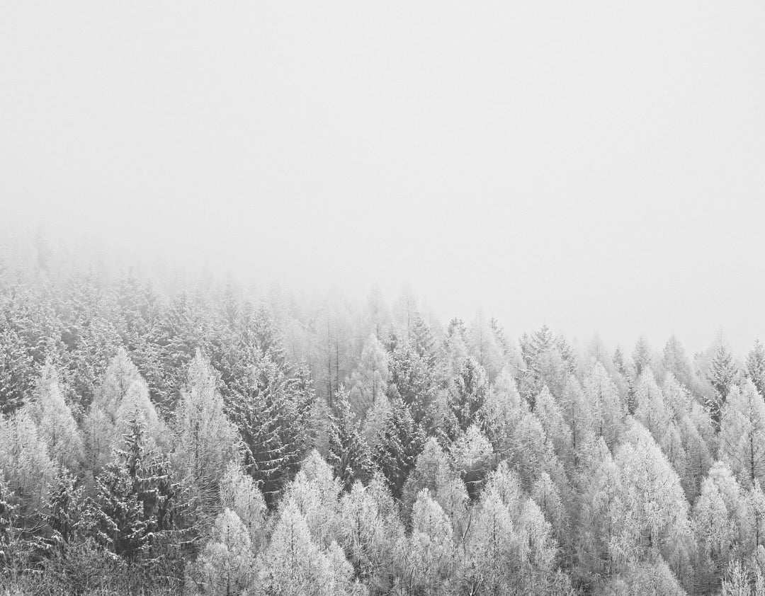 9C2BDF03-0A64-4D6D-B1D5-E3EF4F344C9B_1_201_a.jpg