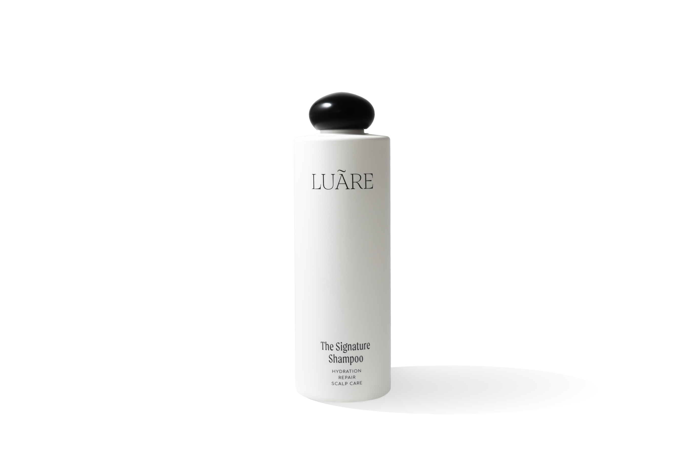 The Signature shampoo