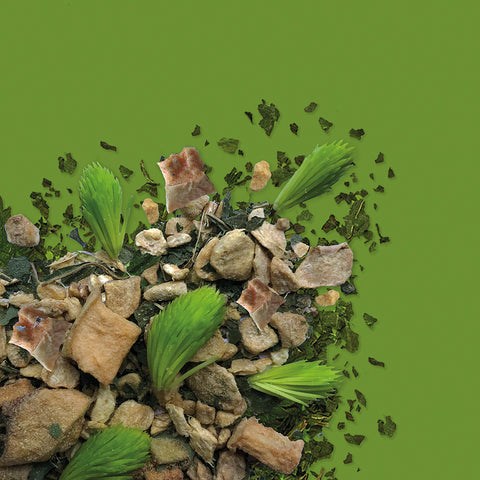 Natural spruce shoots from Finland's forest blended with ginger for a healthy, natural & organic herbal tea blend