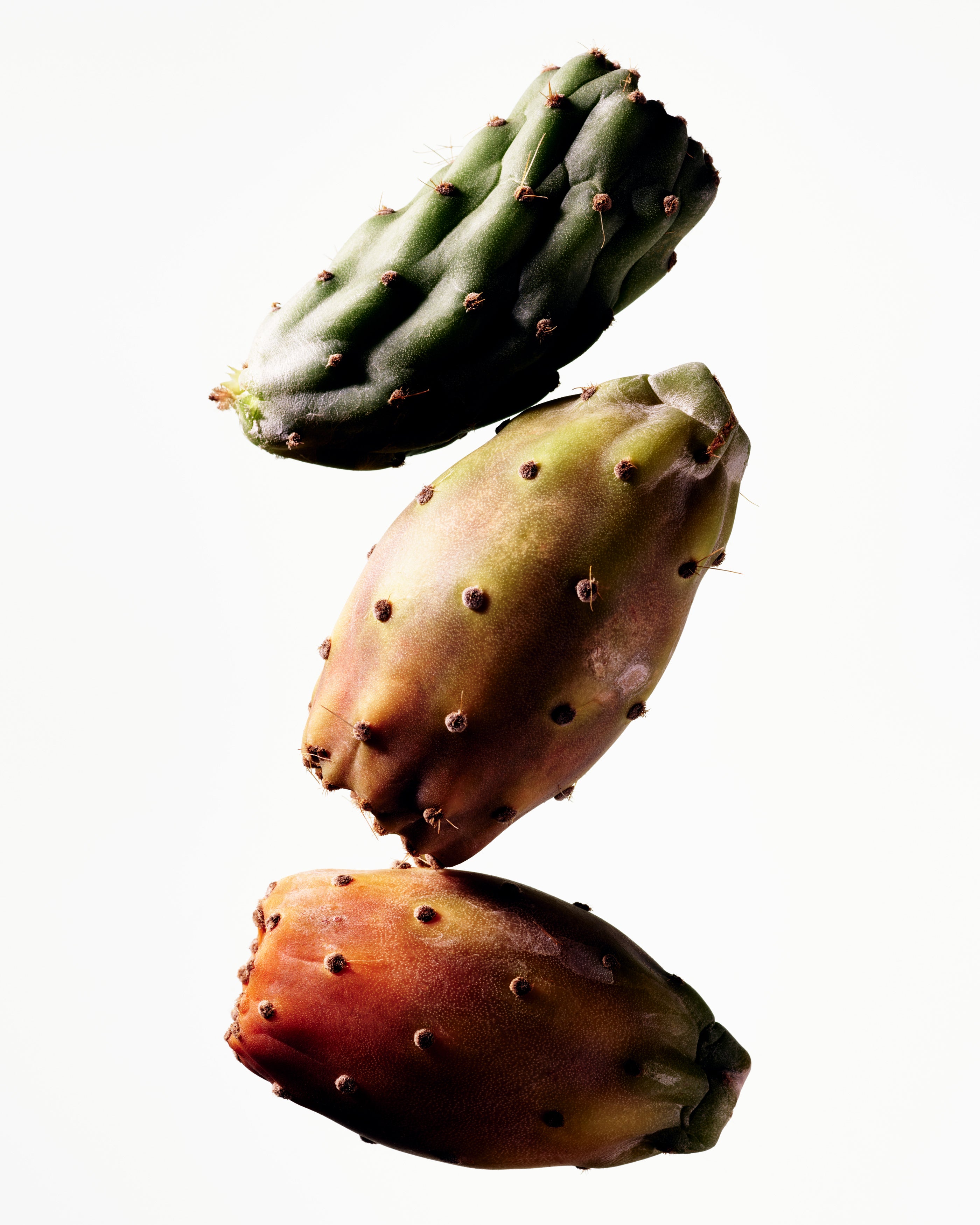 Microbioskin from Manasi7 is a fermented, probiotic multi use body cream to soothe irritated skin and moisturise with all natural prickly pear extract to reduce inflammation.
