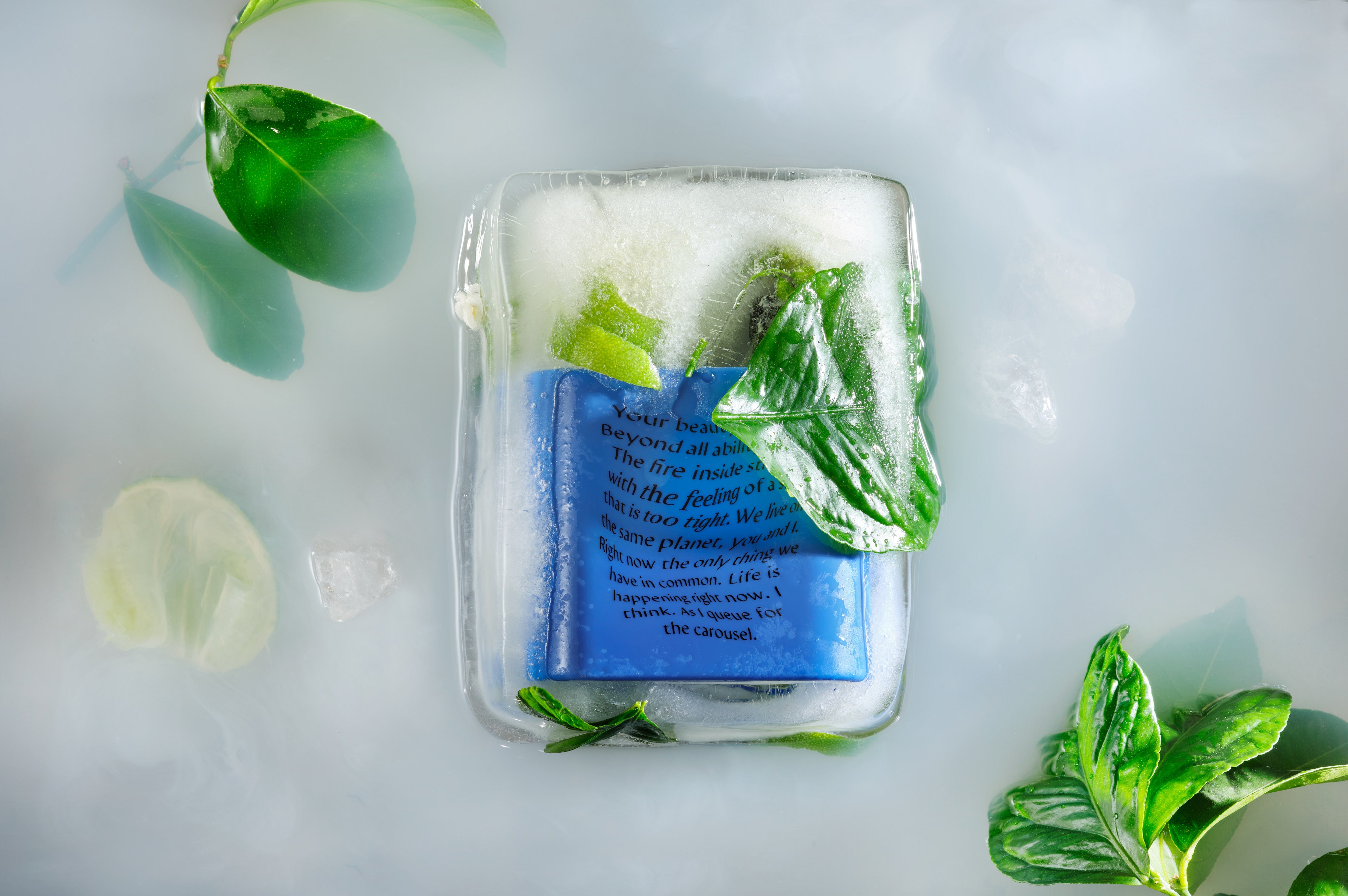 Meyenberg_Soap_Scent_hand_wash_Bergamot_Sea_Salt_isblock_bak.jpg