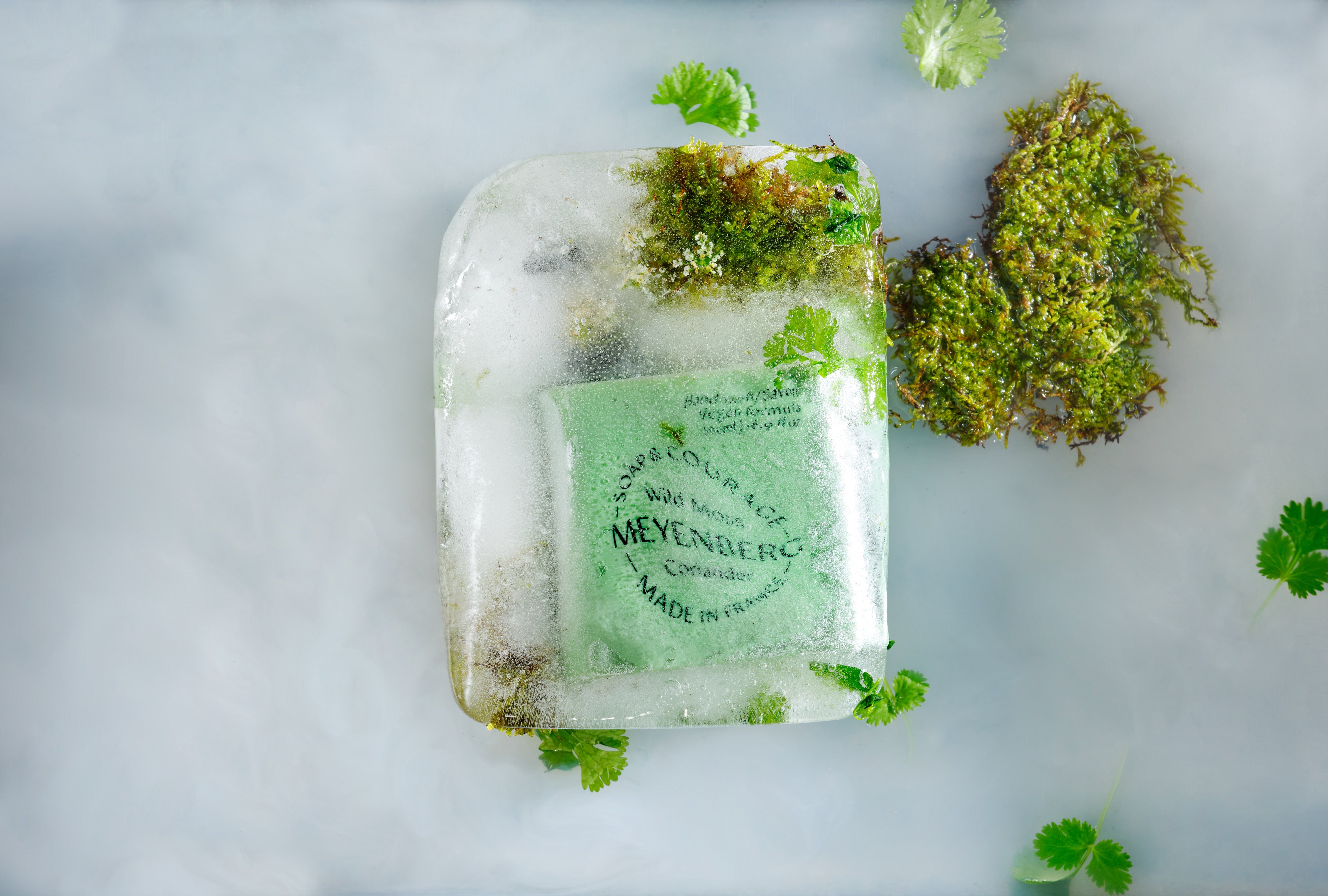 Meyenberg_Soap_Scent_hand_wash_Wild_Moss_Coriander_isblock_1.jpg
