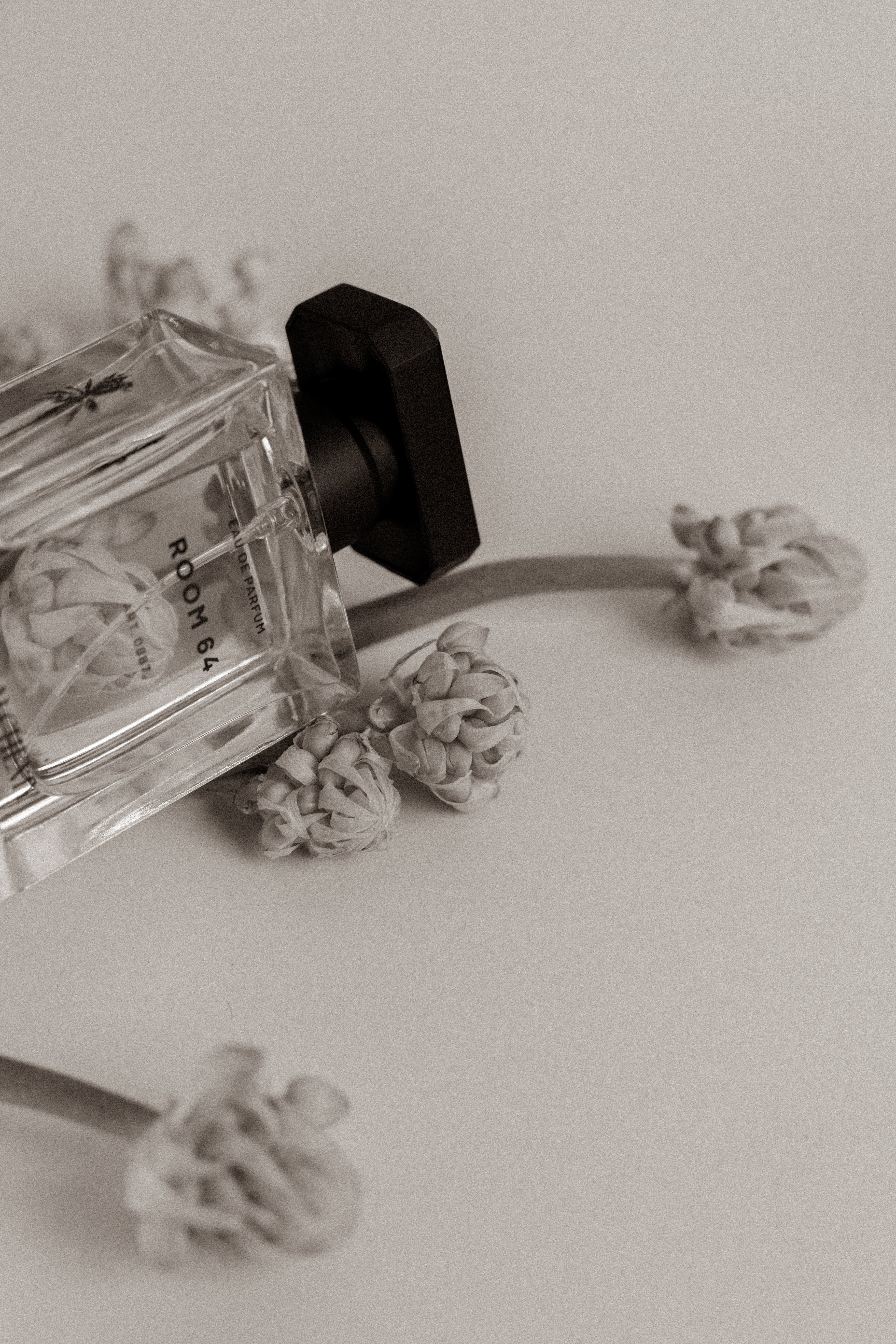 PERFUME_LIFESTYLE2.jpg
