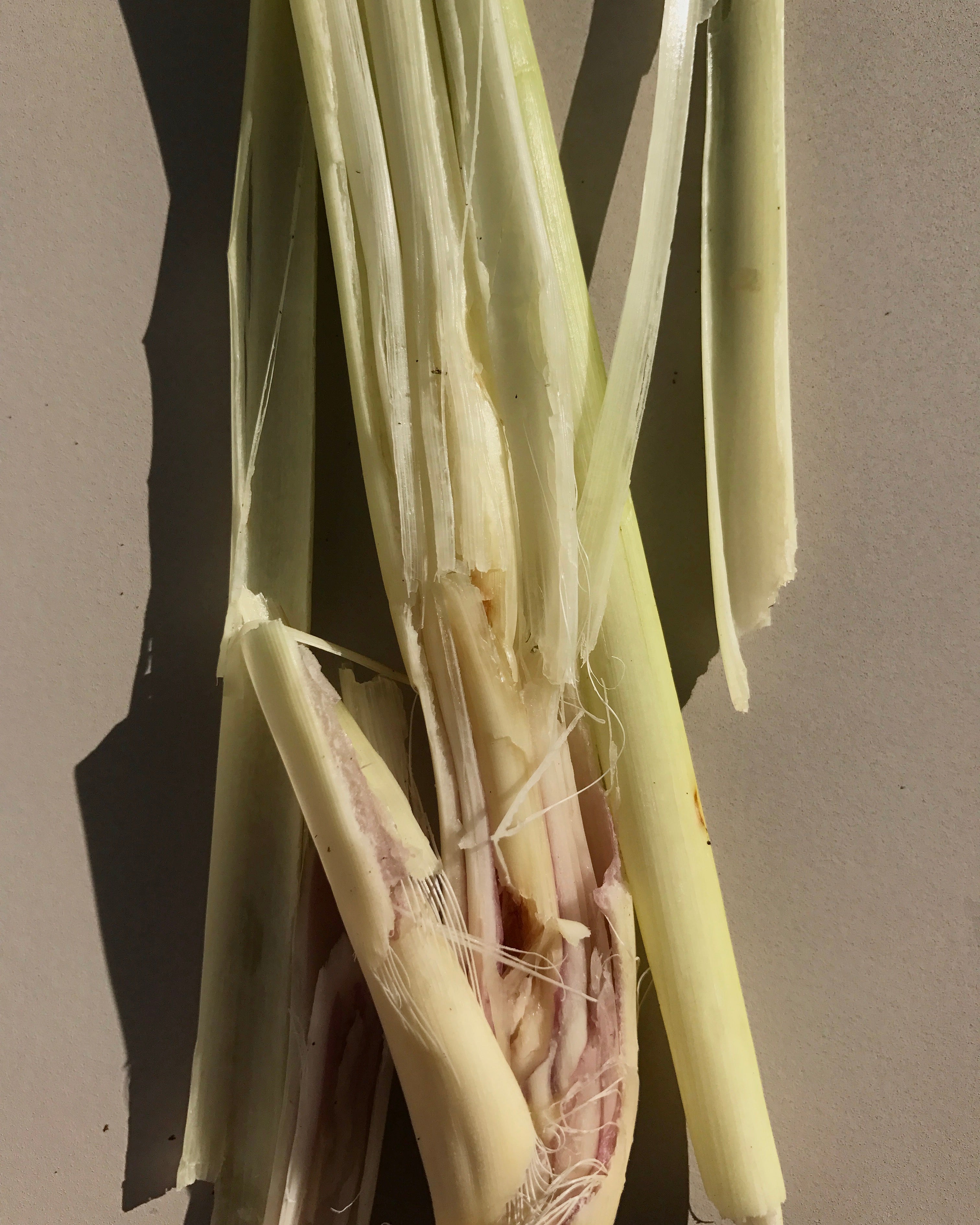 lemongrass.jpg