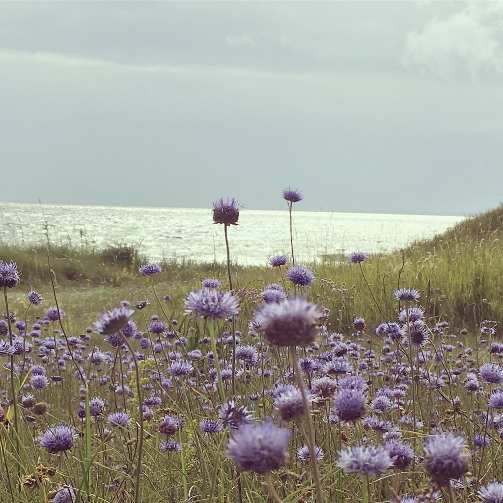 Nature and science combine