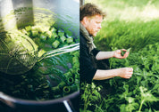 Chef’s Wild Nordic Cookbook: Recipes for 72 Micro-Seasons