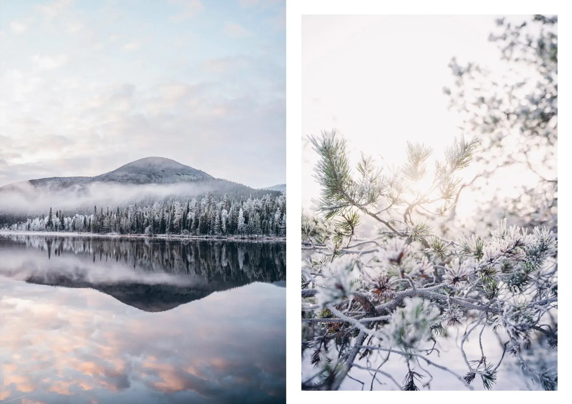 Hardcover book celebrating the lifestyle of eating and living out in nature, from camping , hiking to family picnics with beautiful photography of Finnish life in Food in the Woods by Cozy Publishing.