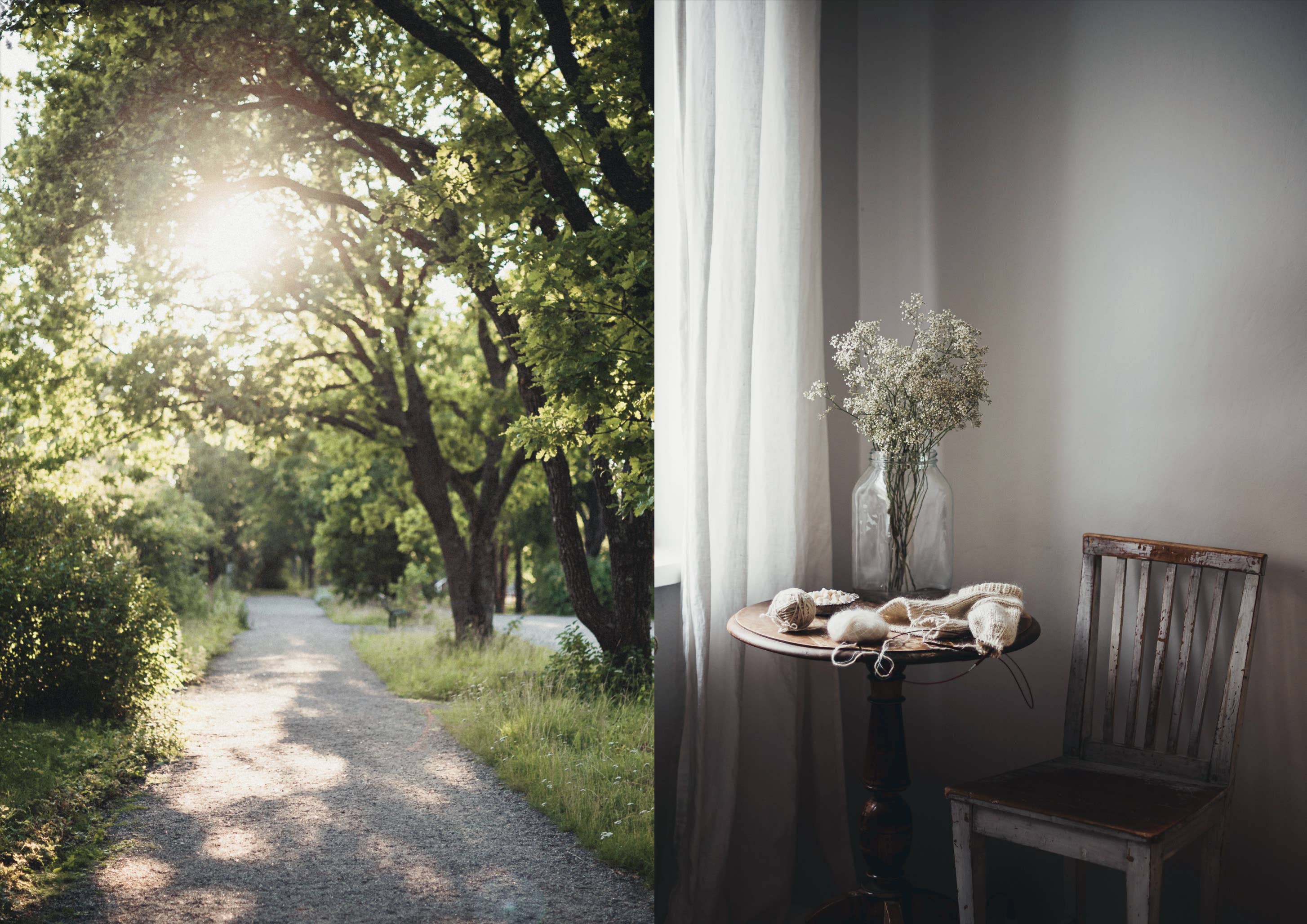 Book: Nature Within, Transforming wellbeing with biophilic design