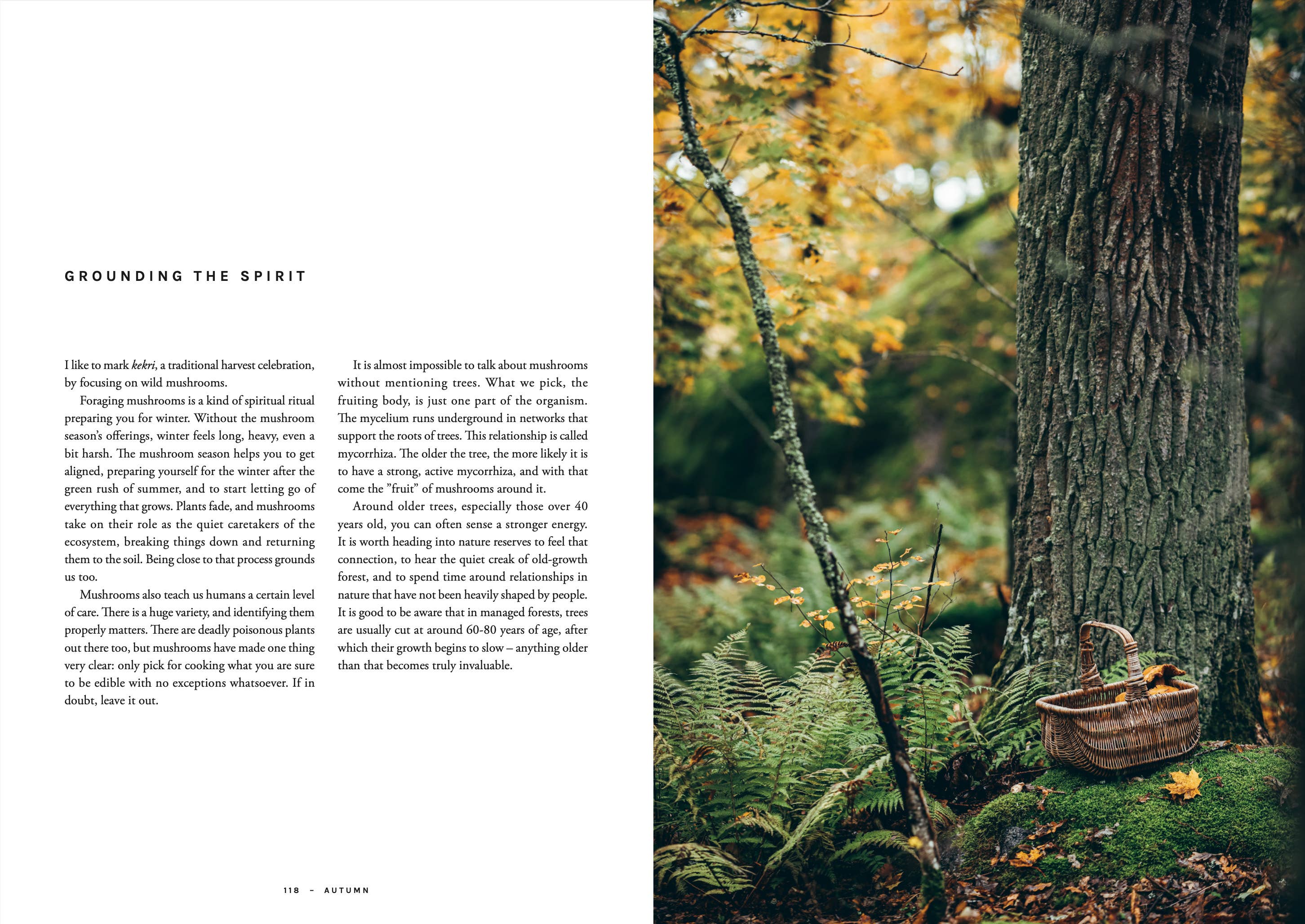 Chef’s Wild Nordic Cookbook: Recipes for 72 Micro-Seasons