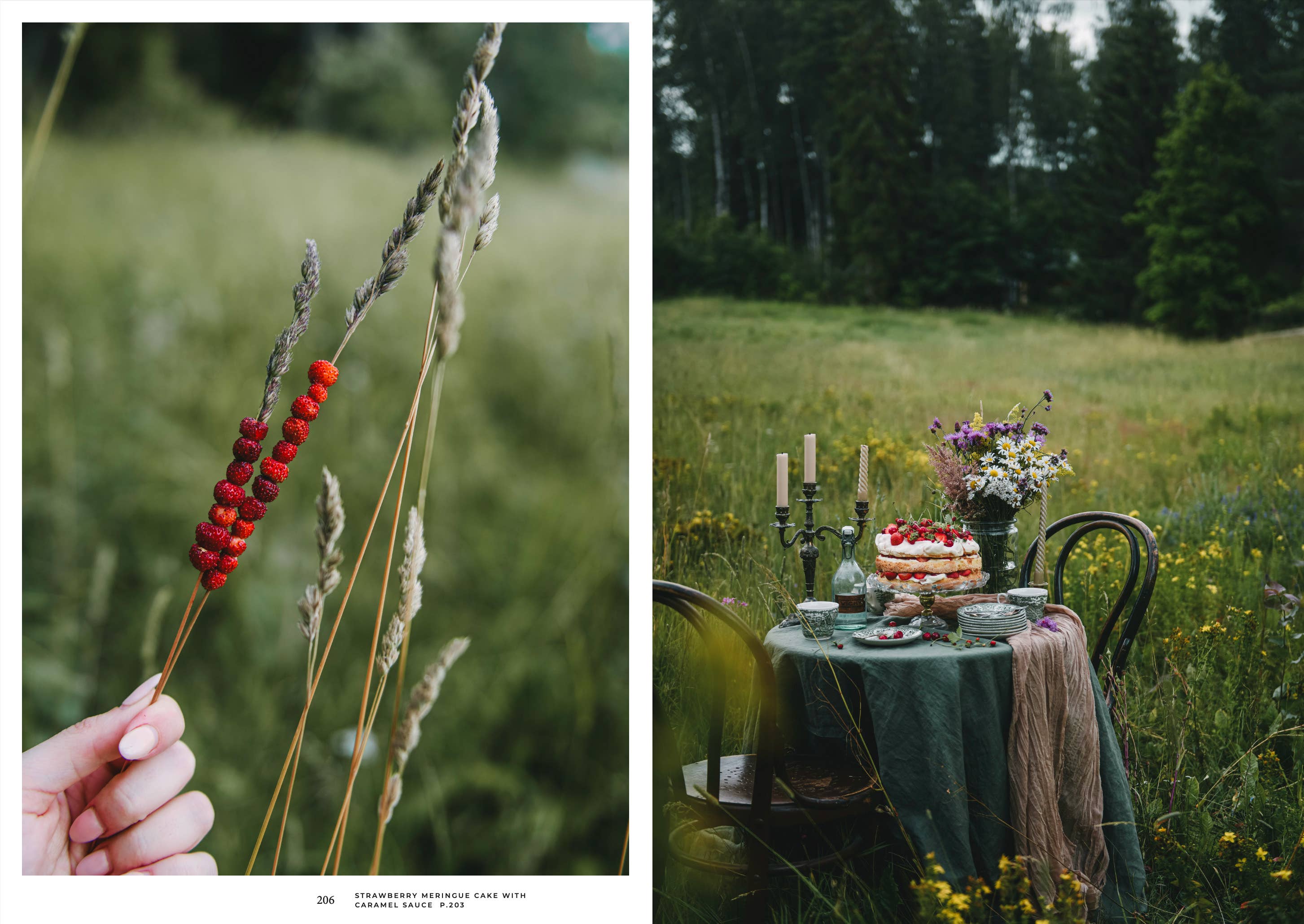 Nordic Summer Cookbook