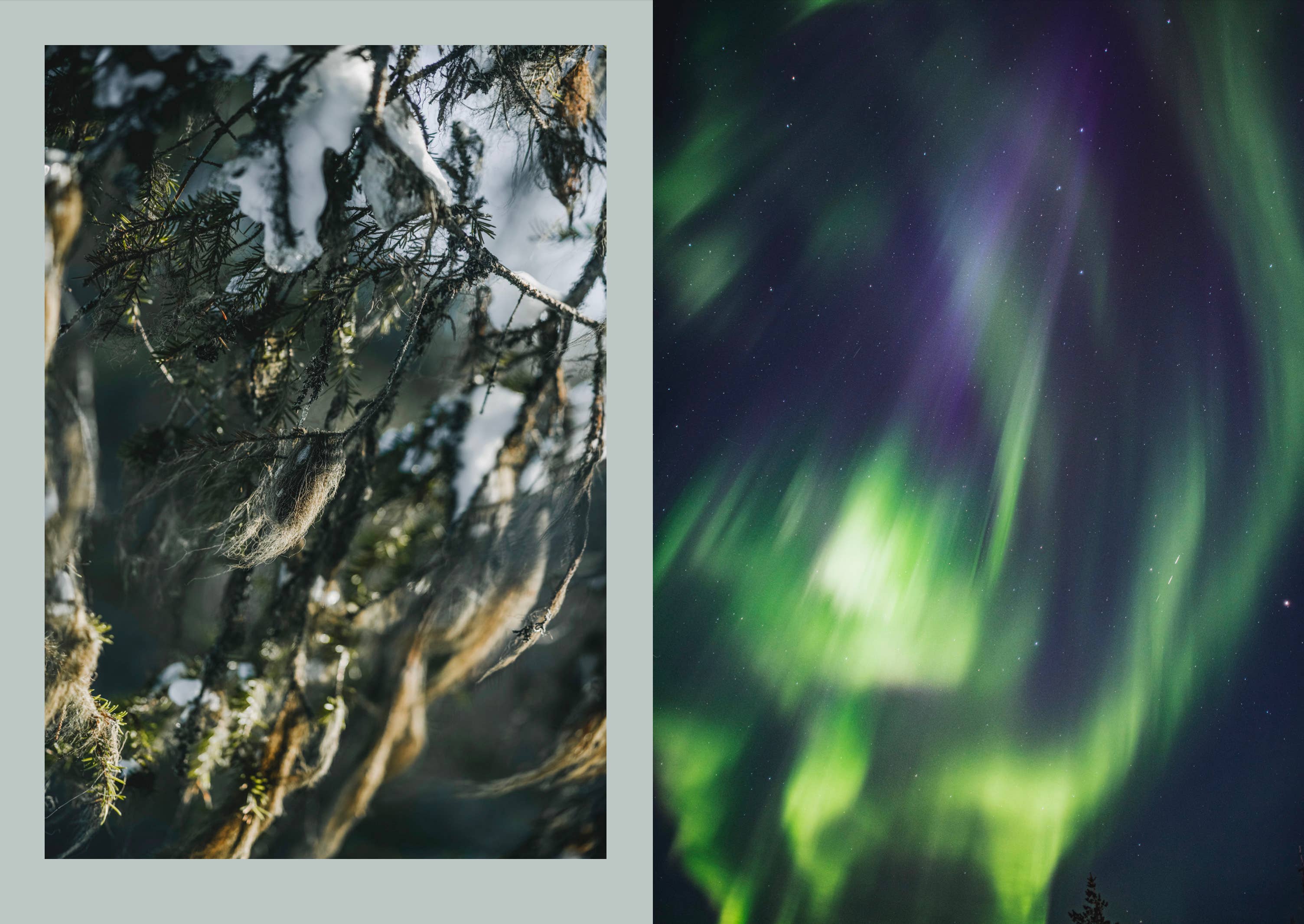 Celebrate the magic of the seasons, nature, traditions and spells in the Nordic Magic, a hard backed book with beautiful photography from Cozy Publishing.