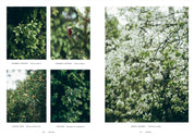 Chef’s Wild Nordic Cookbook: Recipes for 72 Micro-Seasons