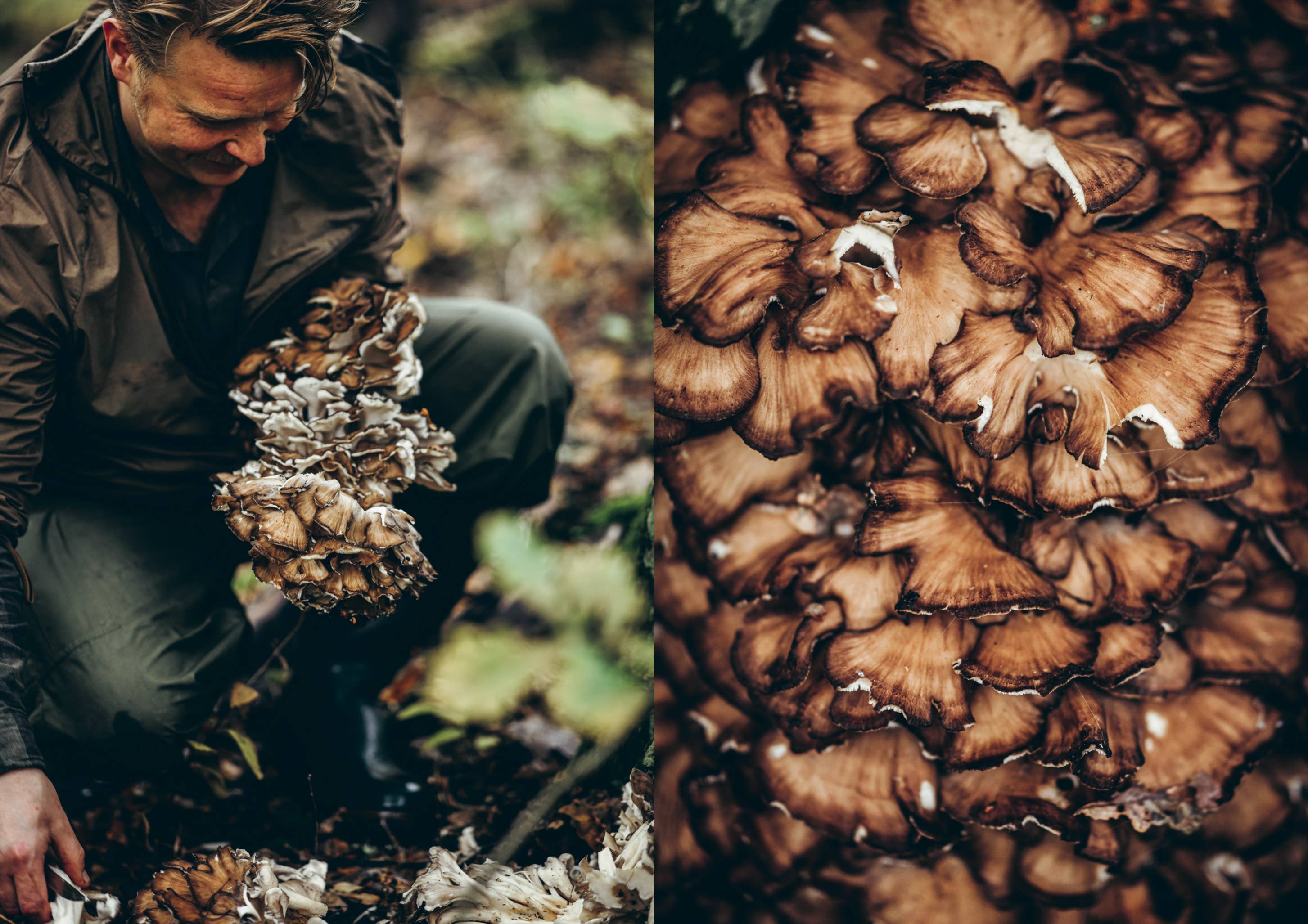 Chef’s Wild Nordic Cookbook: Recipes for 72 Micro-Seasons