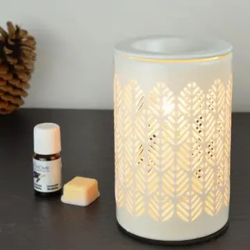 Plug-in Ceramic Oil Diffuser