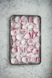 Hardcover book Flowers on a Plate showing beautiful photography of sugar coated rose petals, by Cozy Publishing.