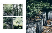 Collage of nature scenes including trees, plants, and a small waterfall.