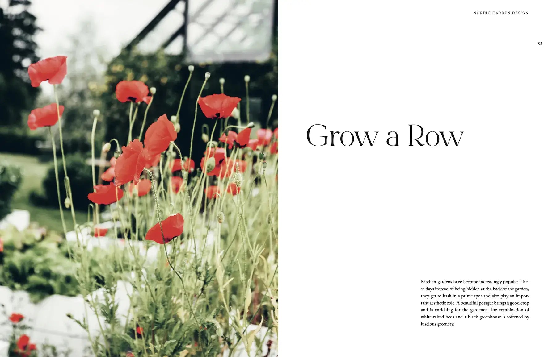 Red poppies in a garden with text overlay 'Grow a Row'.