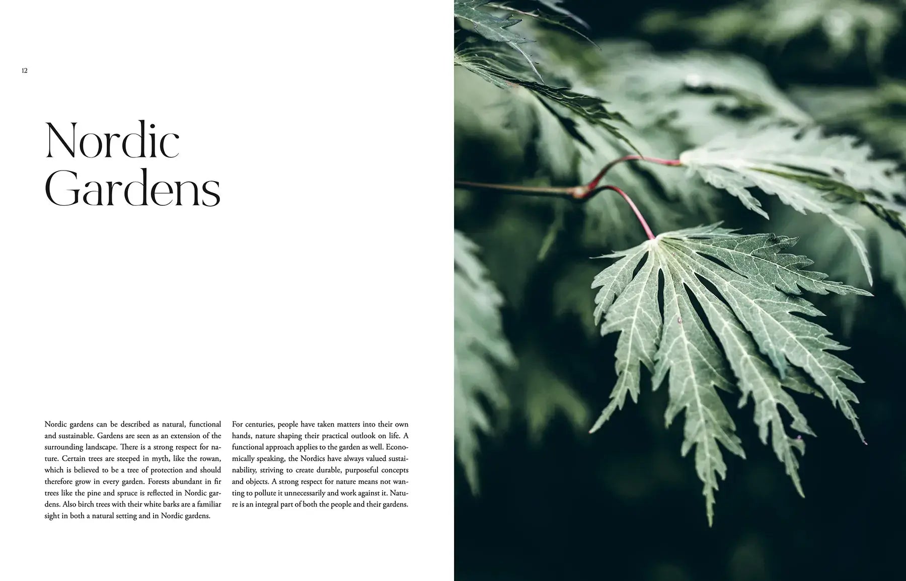 Close-up of green leaves with text on 'Nordic Gardens' on the left side.