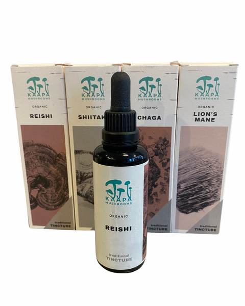 Buy the four top selling and balanced combination for all your natural wellbeing  needs with the highest bioavailable functional mushroom extracts from the home of Chaga, in Finland, from Kääpä Mushrooms.