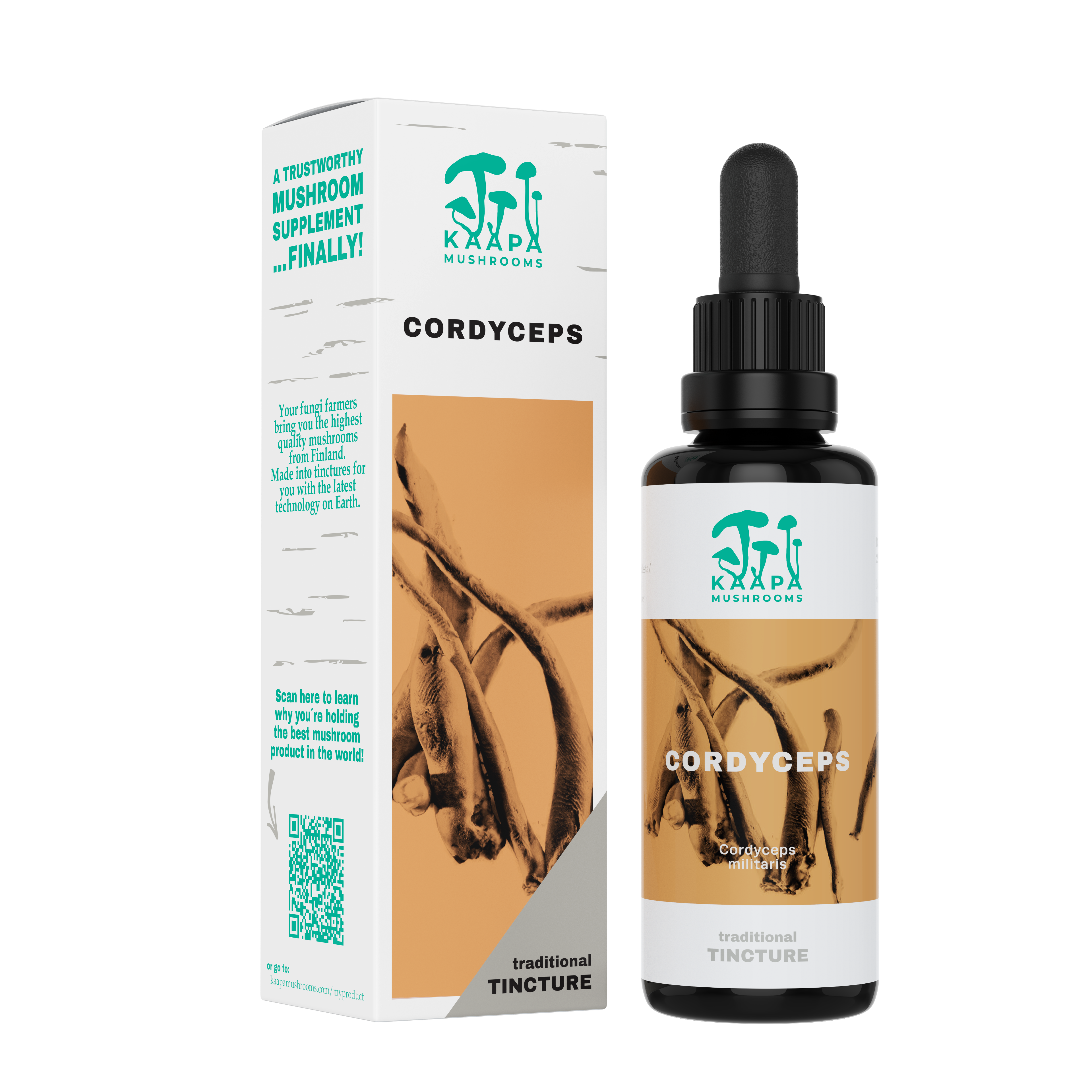 High bioavailable cordyceps mushroom extract from Finland from only the fruiting bodies, to aid recovery