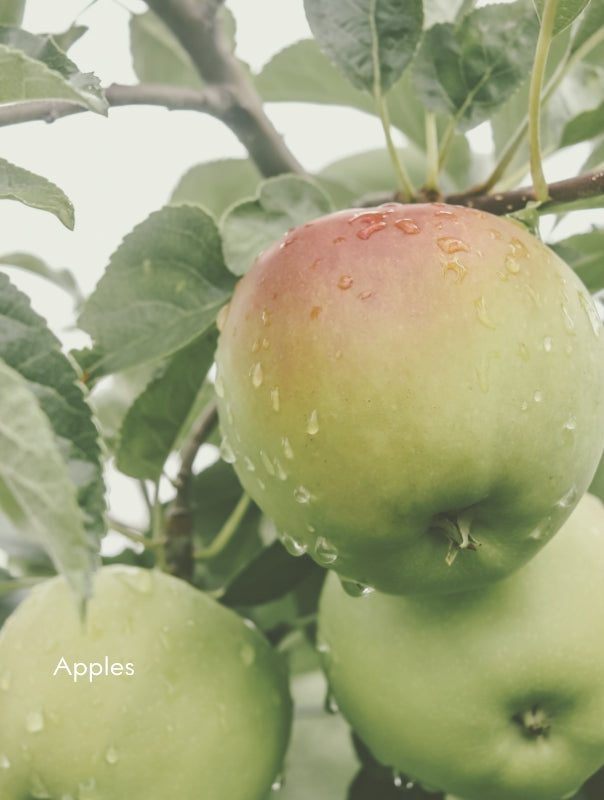 FJORD_Apples_5cb29d9e-9781-42d7-9e9d-2a3b9c9cd551.jpg