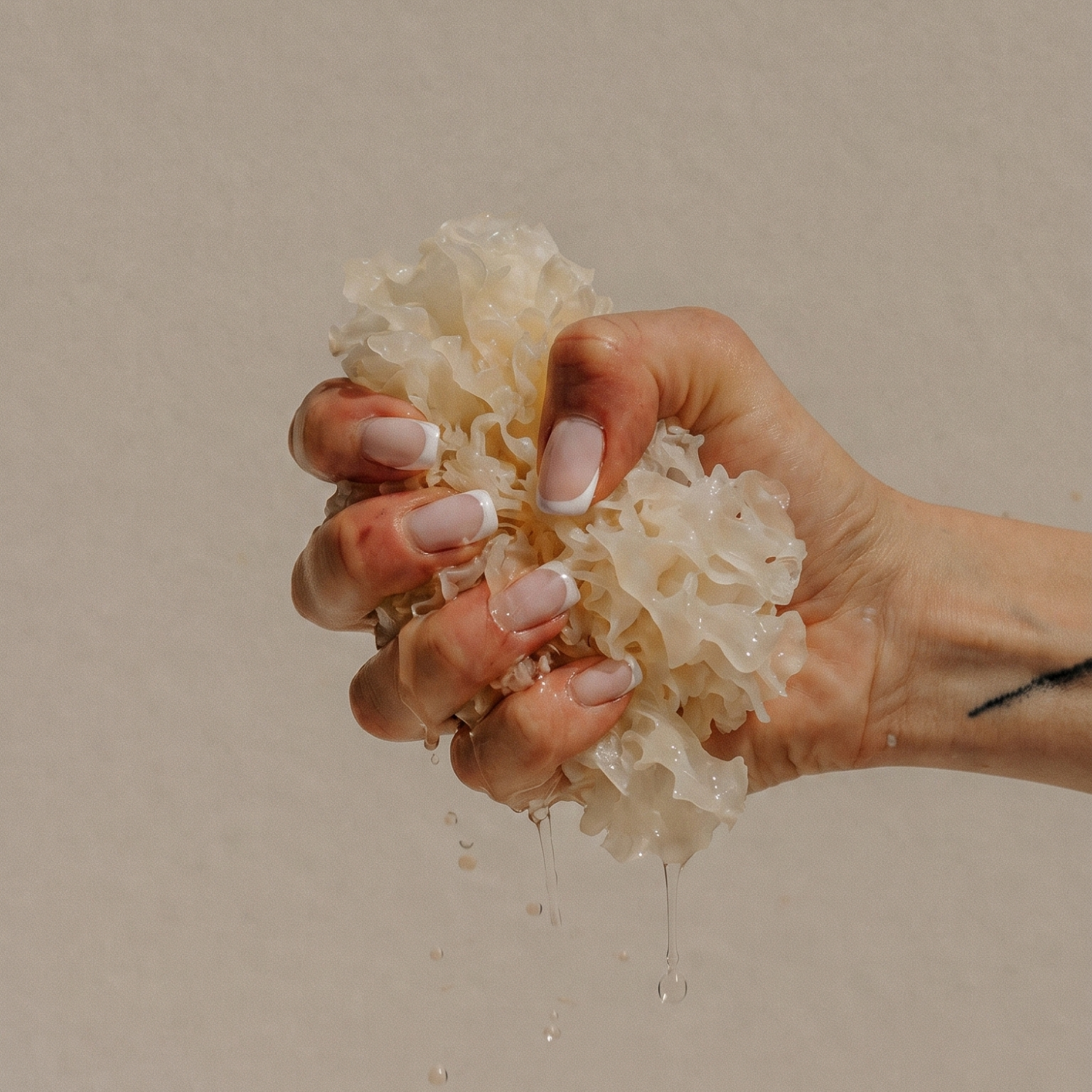 Gribb_Tremella_hand.png