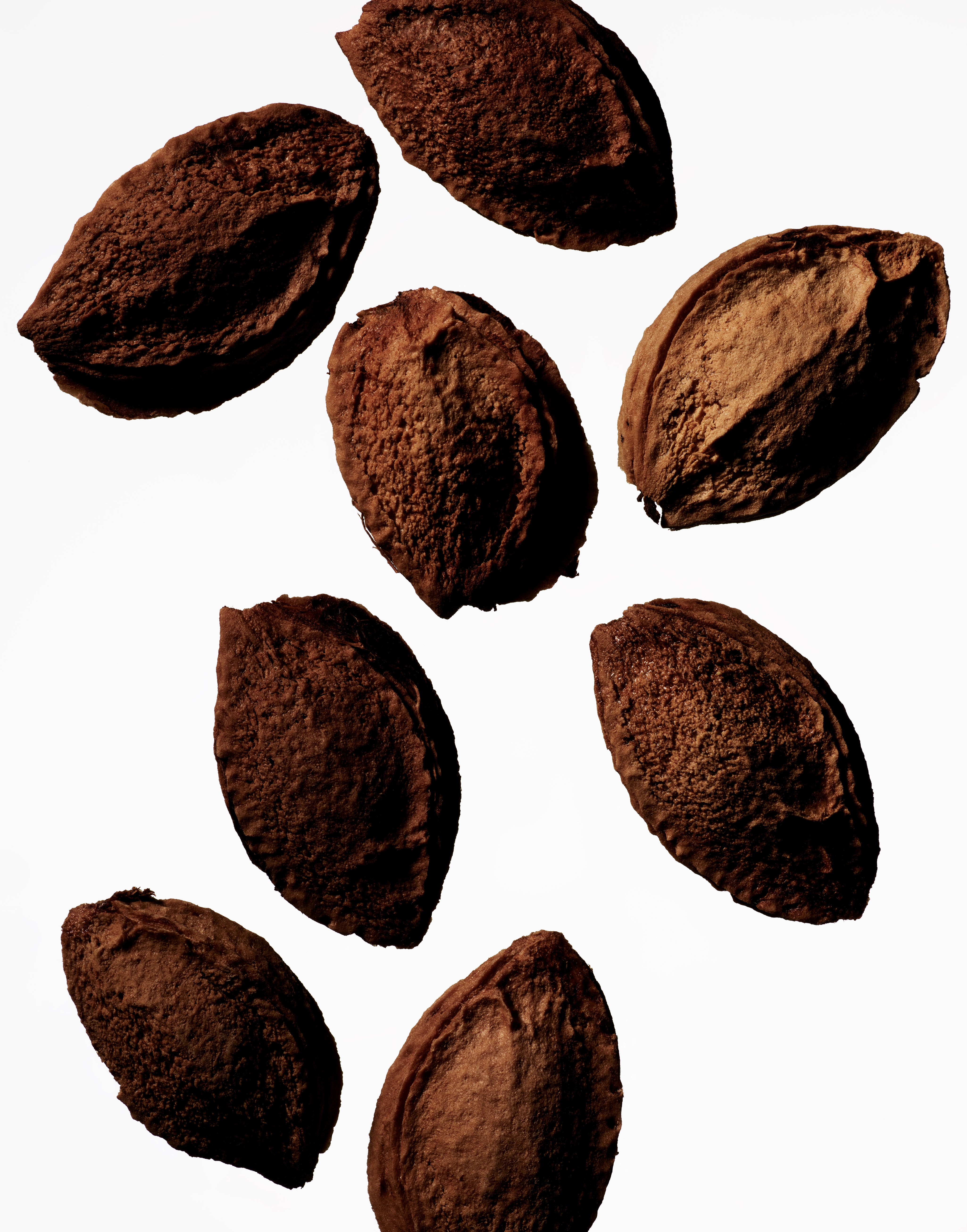 Manasi_7_Tinted_Beauty_Potion_Apricot_Kernel_Seed_Oil_sRGB_72dpi_8.jpg