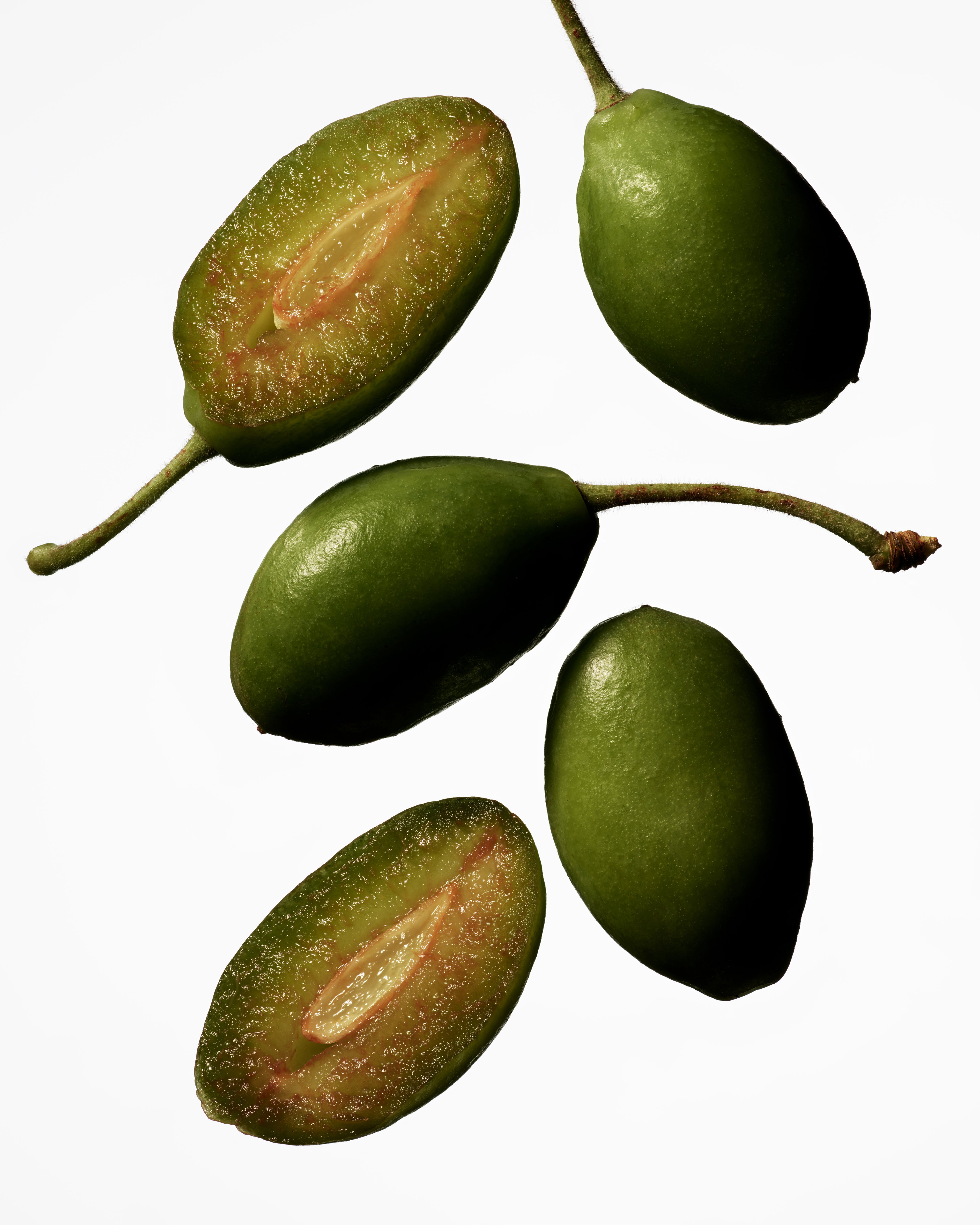 Manasi_7_Tinted_Beauty_Potion_Plum_Oil_sRGB_72dpi_9.jpg