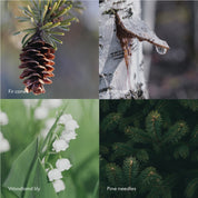 NEW Scented Candle : Skog