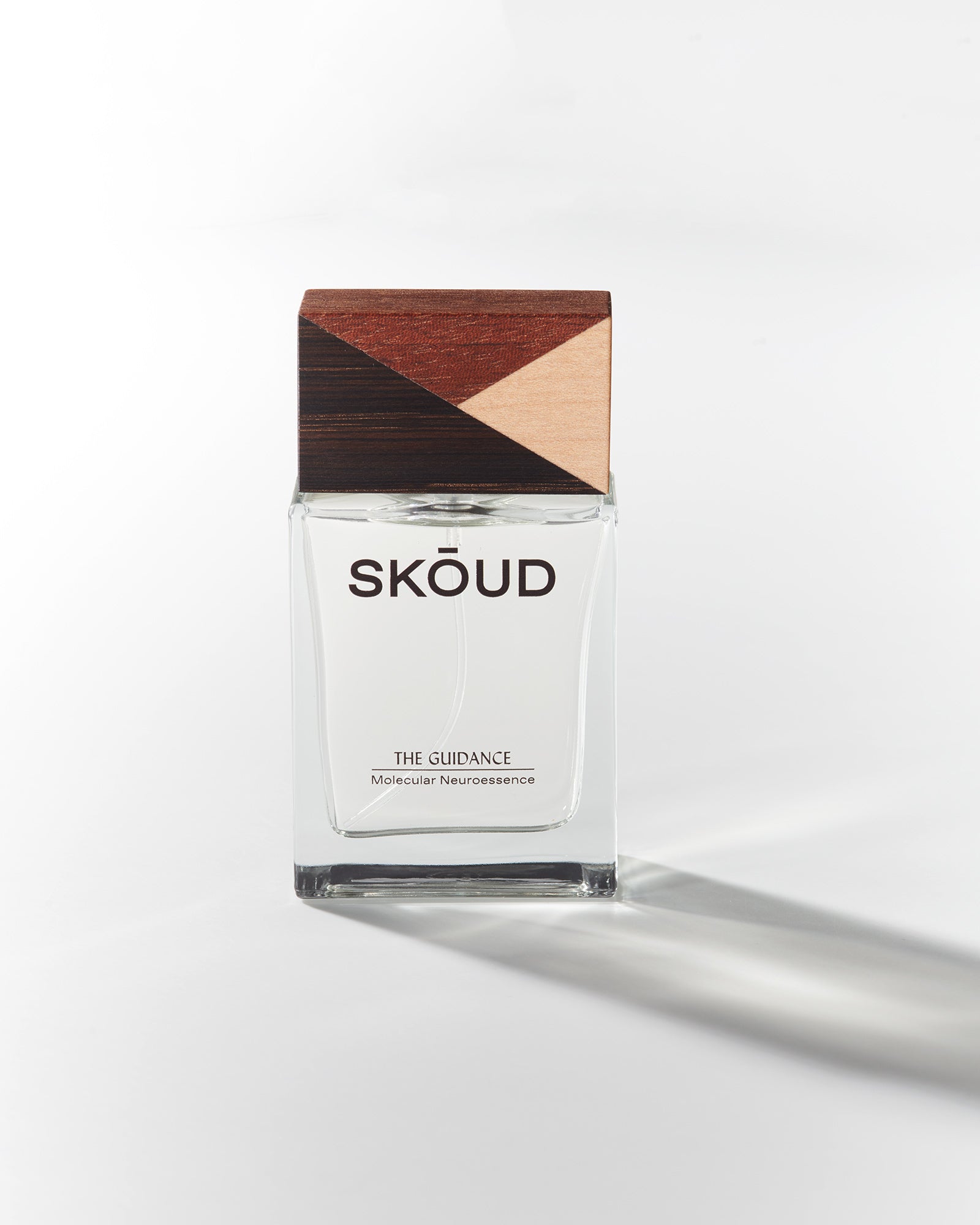 SKOUD_TheGuidance_1.jpg