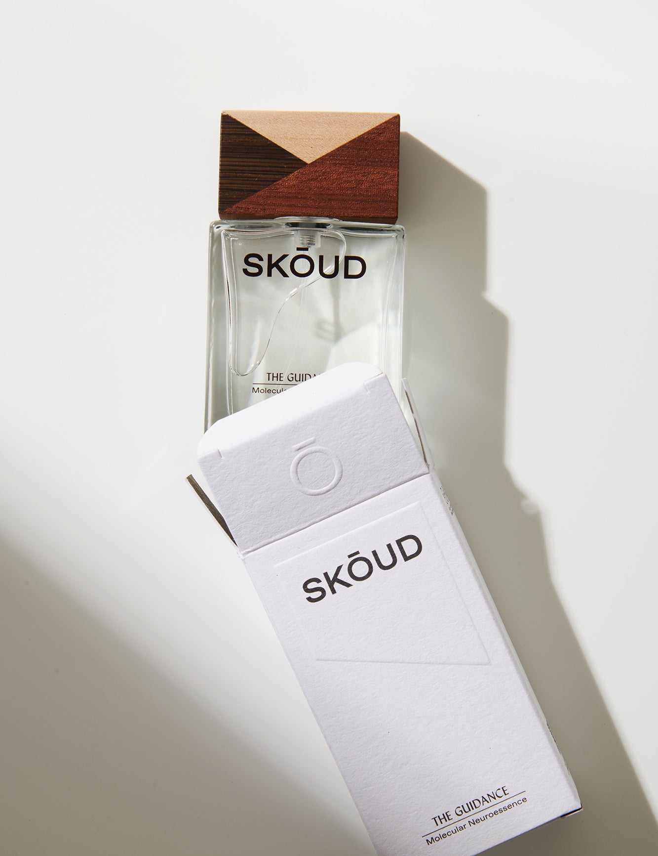 SKOUD_TheGuidance_4.jpg