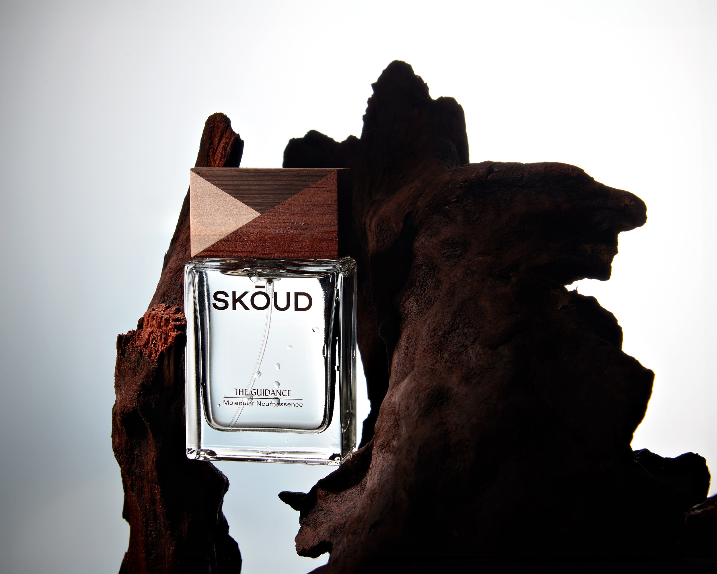 SKOUD_TheGuidance_5.jpg