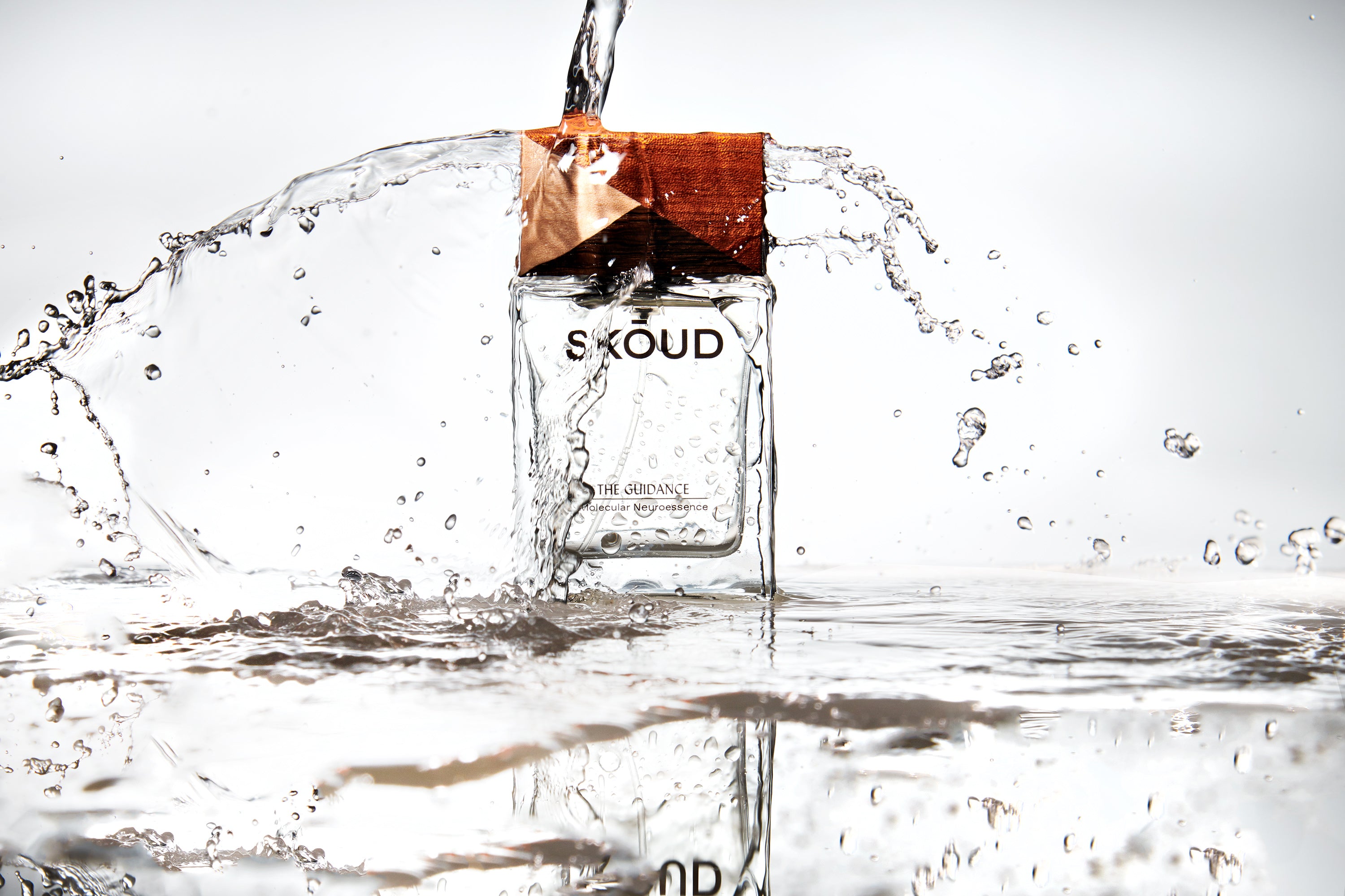 SKOUD_TheGuidance_8.jpg