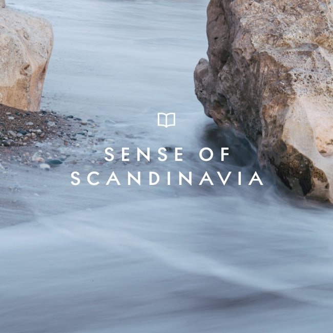 SoMe_Scandinavia_12.jpg