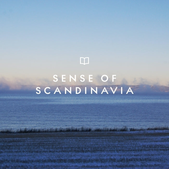 SoMe_Scandinavia_18.jpg