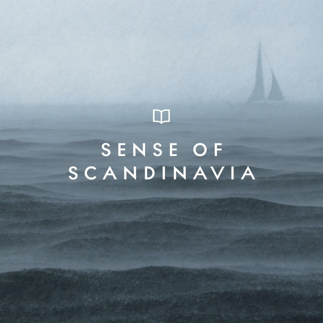 SoMe_Scandinavia_7.jpg