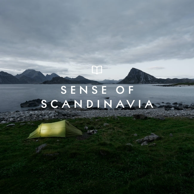 SoMe_Scandinavia_8.jpg