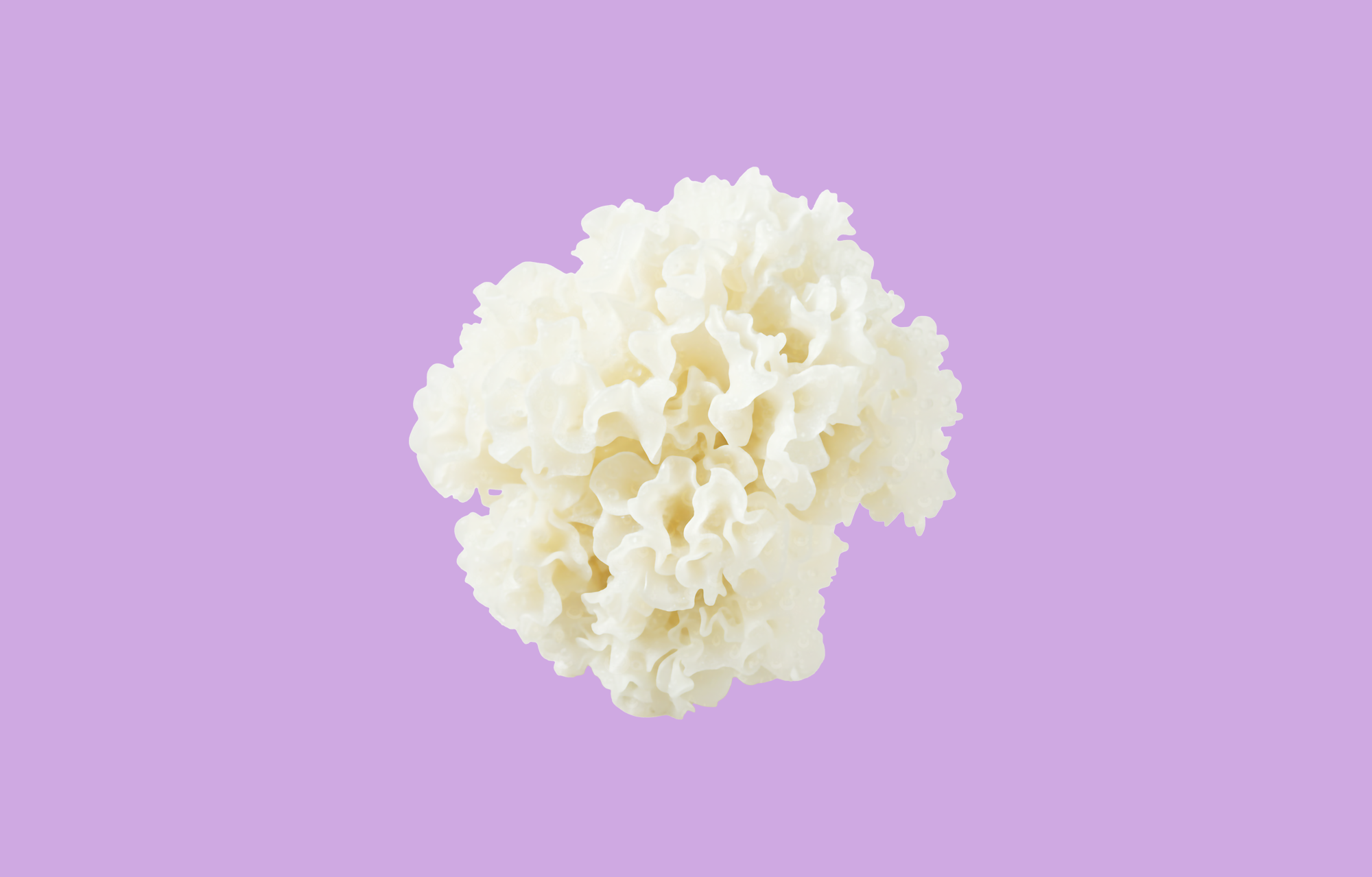 Tremella-landing-imageingredients-page.png
