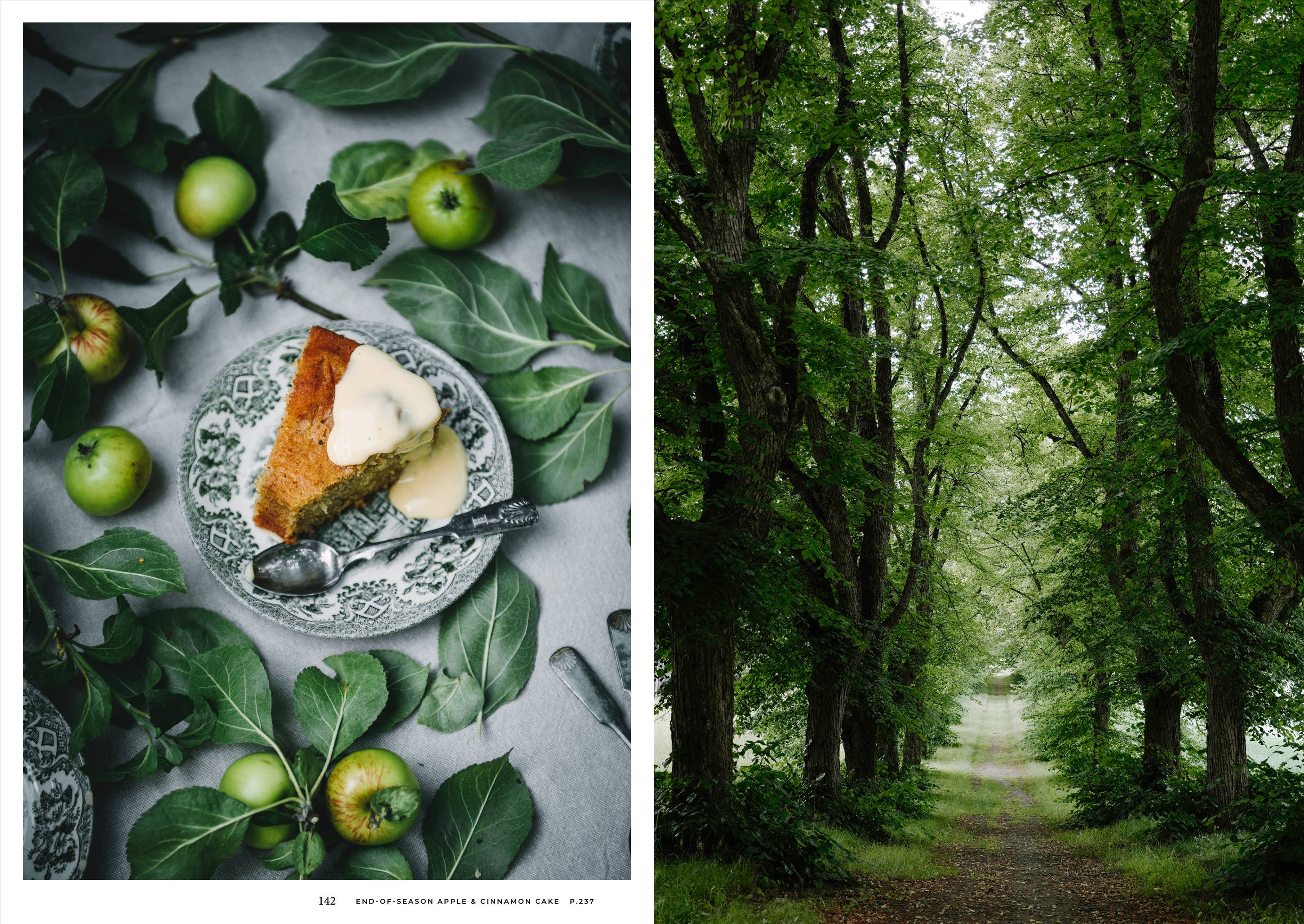 Nordic Summer Cookbook