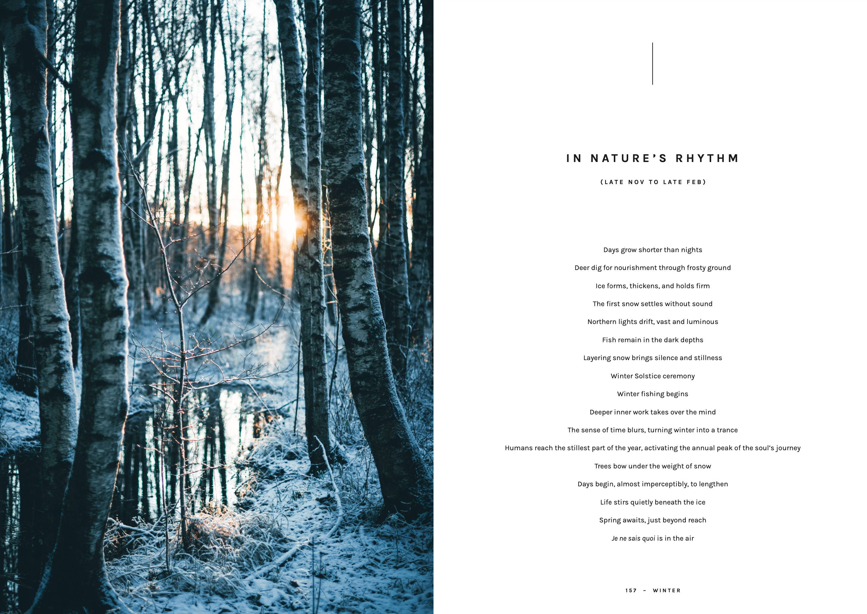 Chef’s Wild Nordic Cookbook: Recipes for 72 Micro-Seasons