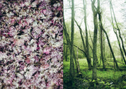 Chef’s Wild Nordic Cookbook: Recipes for 72 Micro-Seasons