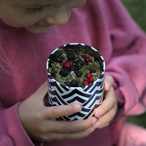 Natural berries from Finland's forest for an organic herbal tea blend in a collectable tin