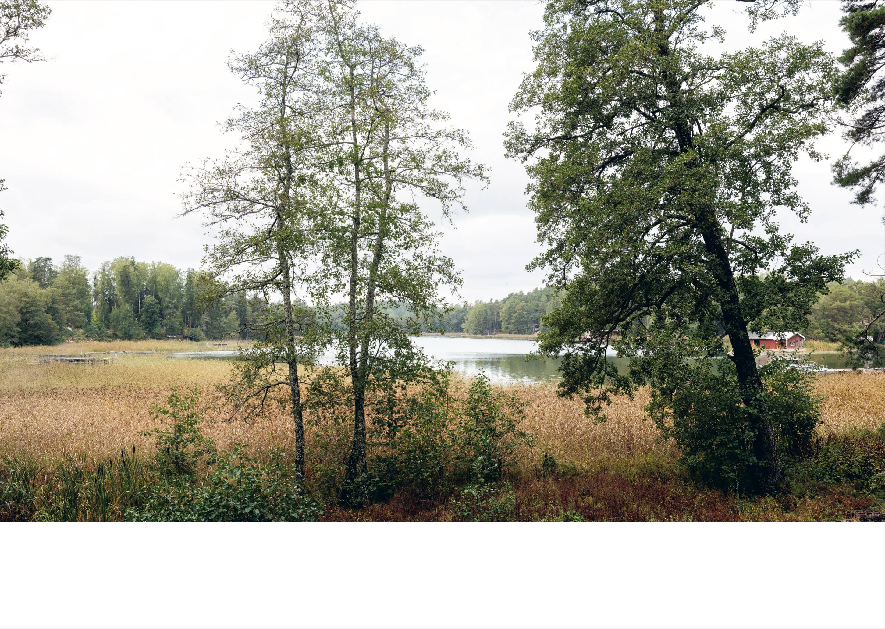 Drifting Through Nordic Islands