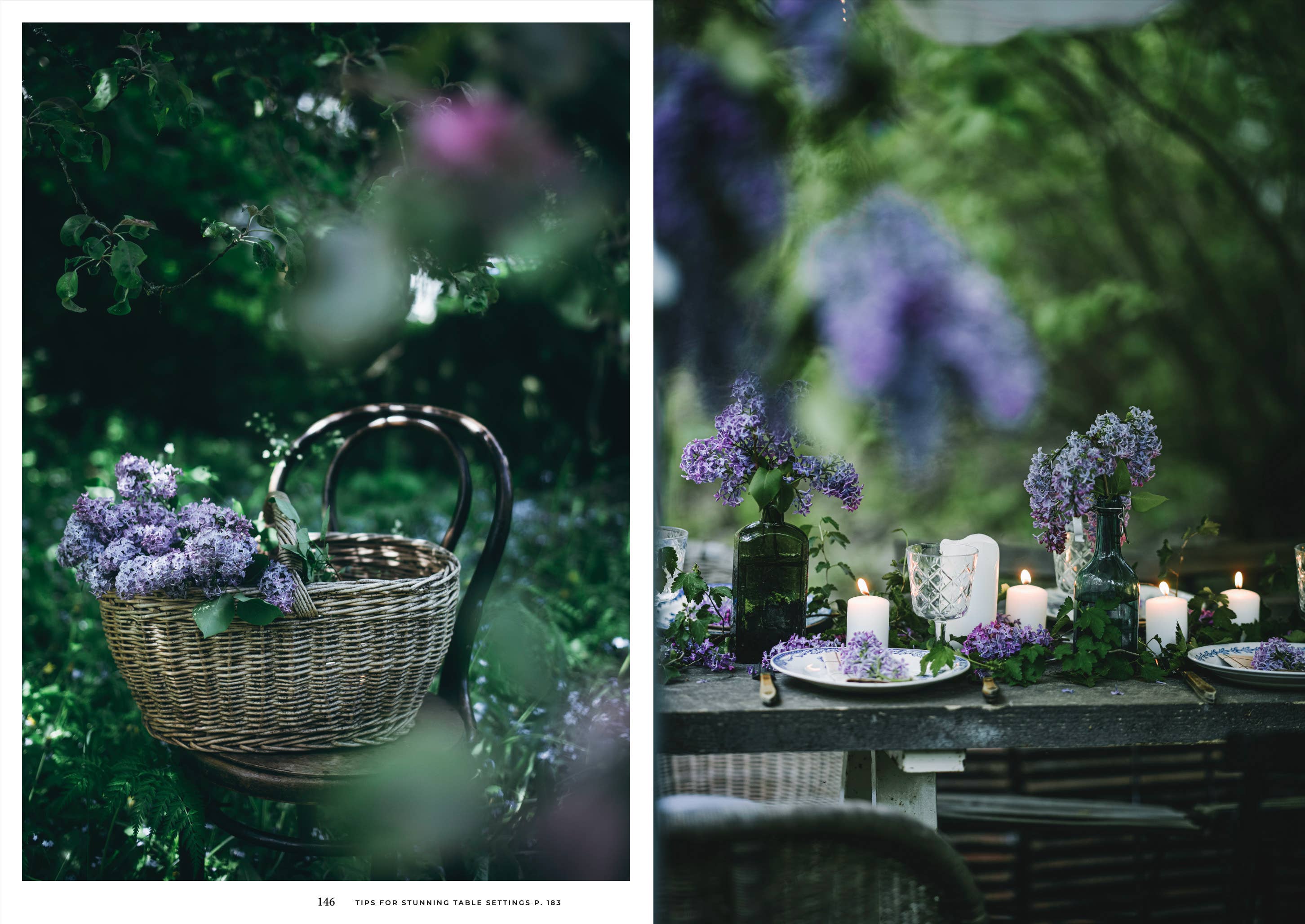 Nordic Summer Cookbook