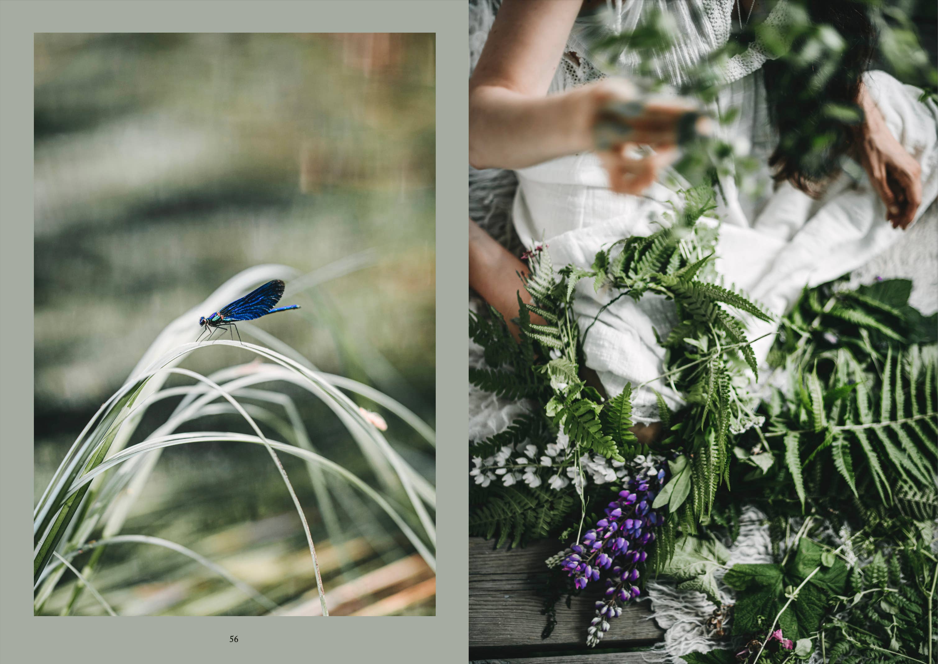 Celebrate the magic of the seasons, nature, traditions and spells in the Nordic Magic, a hard backed book with beautiful photography from Cozy Publishing.