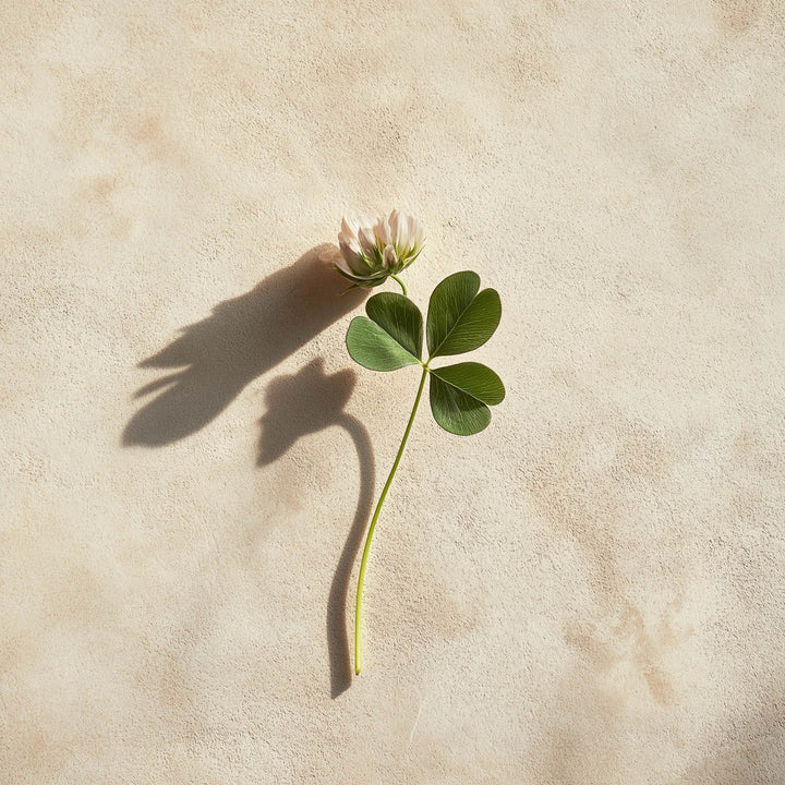doftnot-clover.jpg