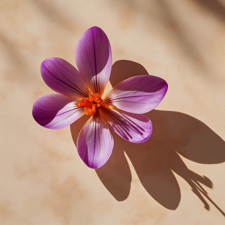 doftnot-saffron-purple.jpg