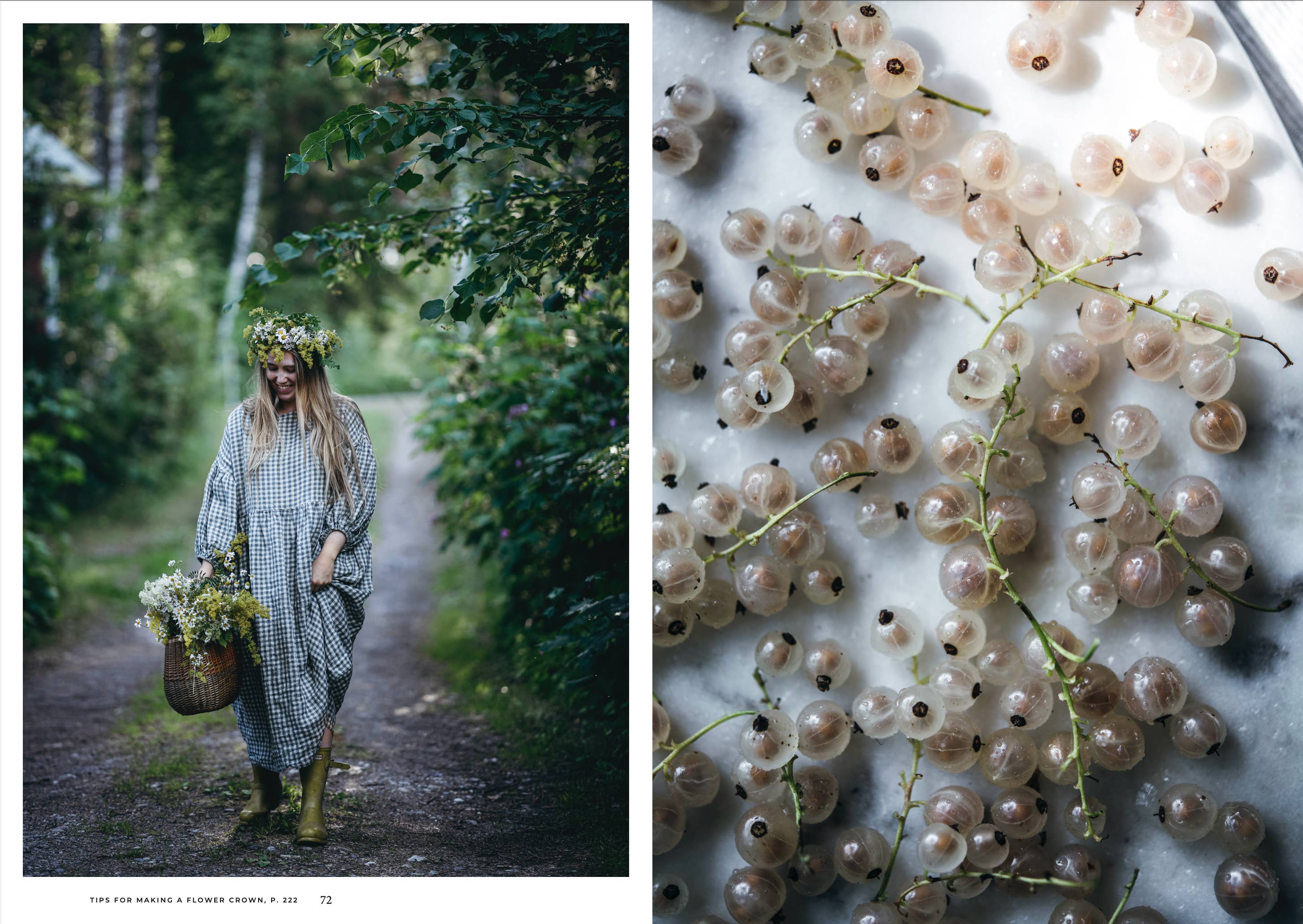 Nordic Summer Cookbook