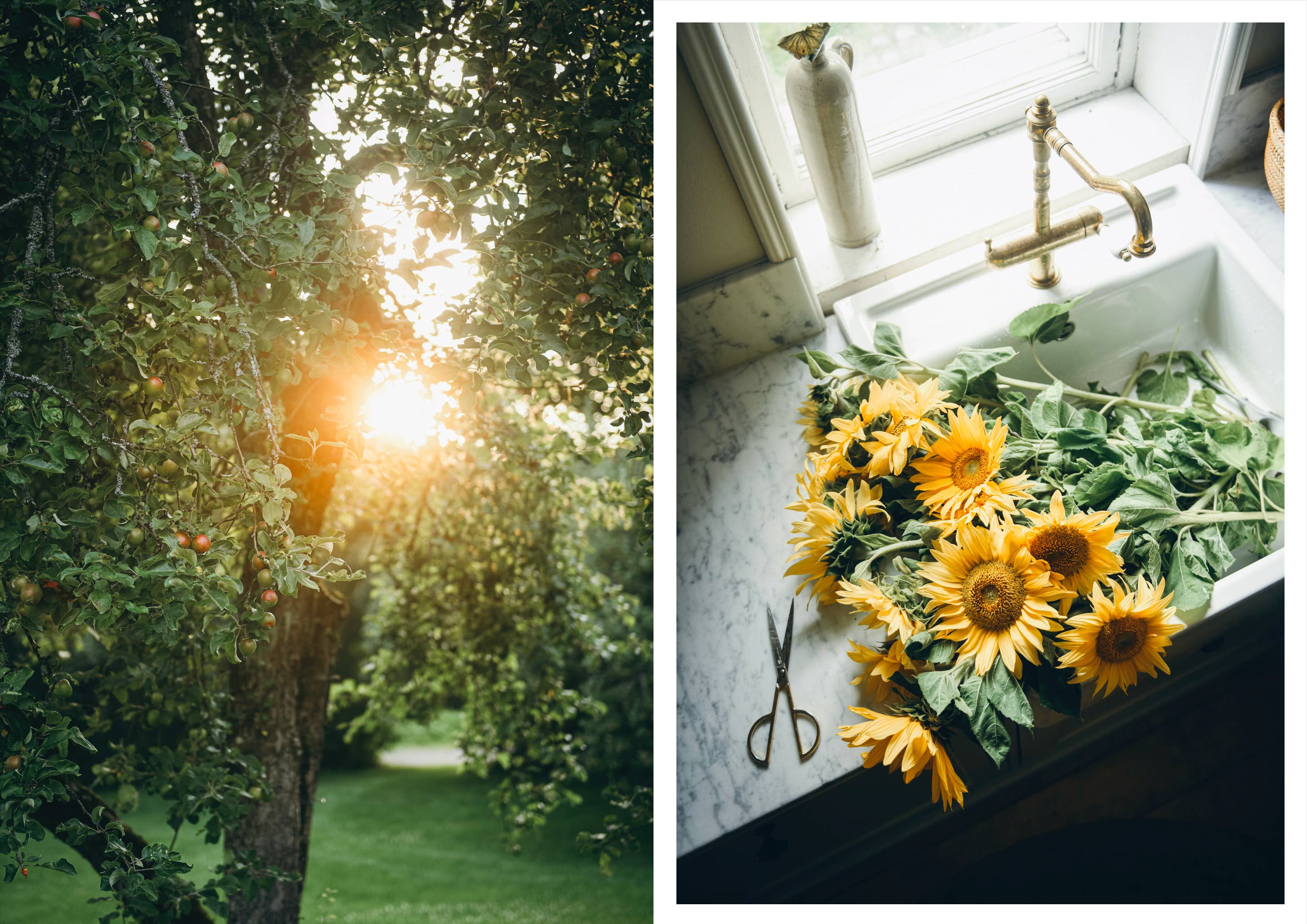 Nordic Summer Cookbook